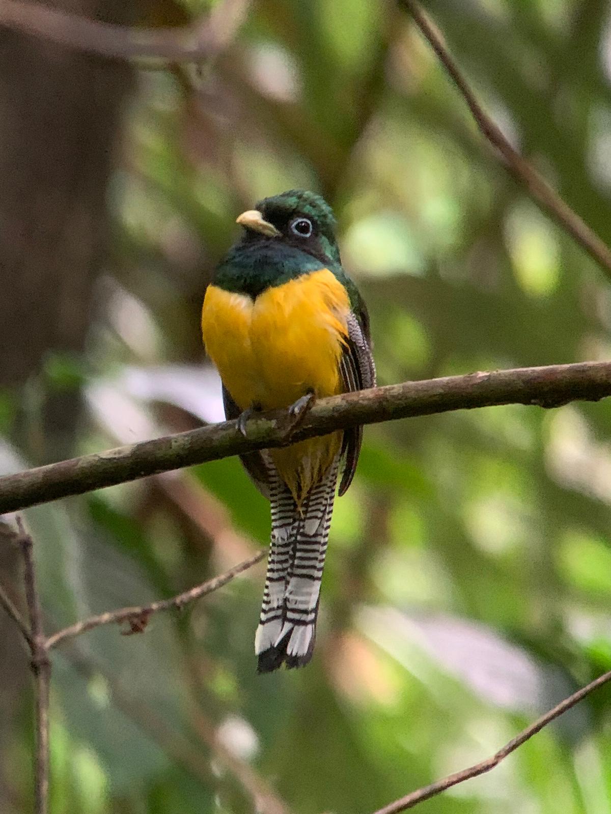 Costa Rica