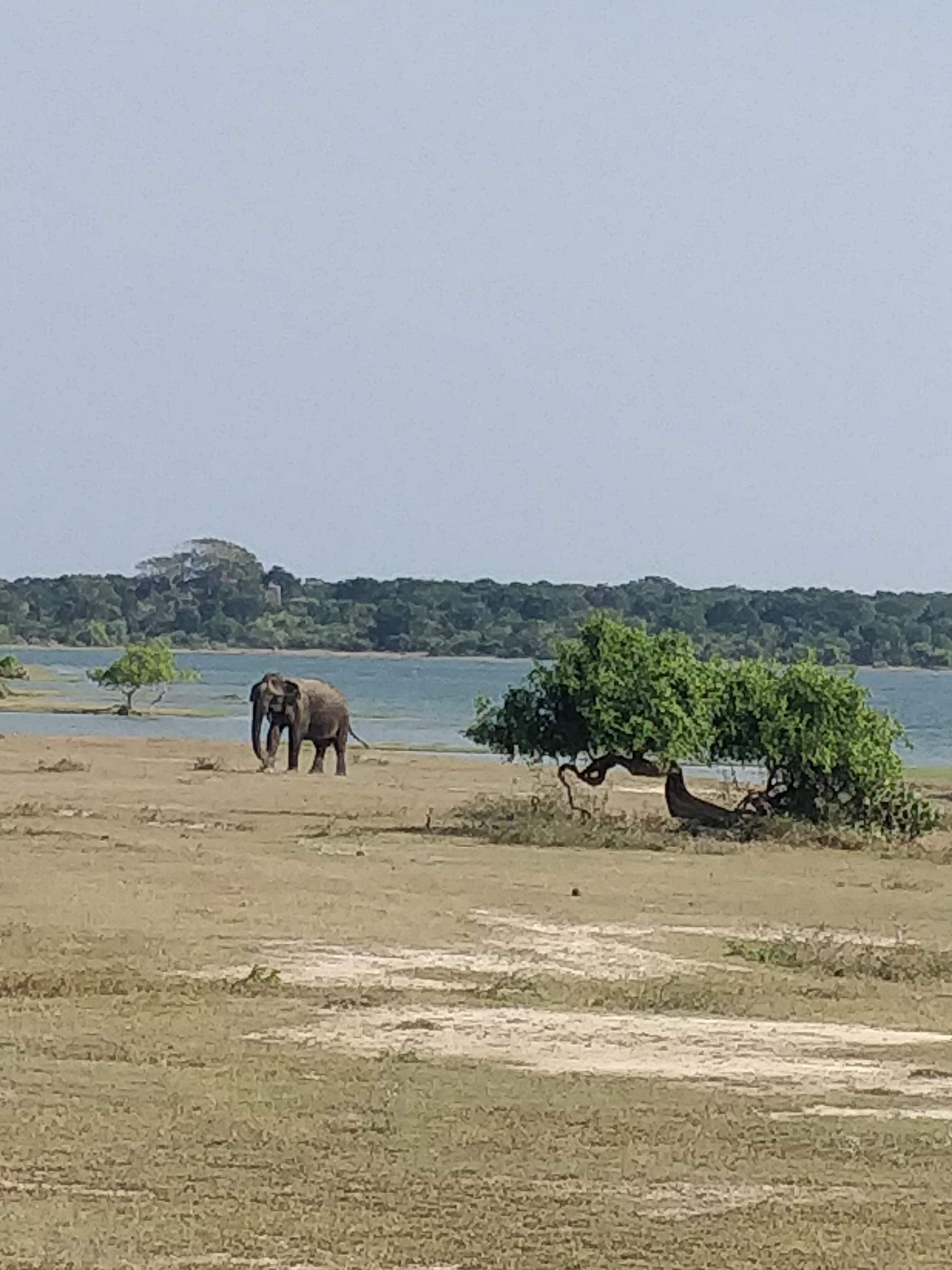 Sri Lanka