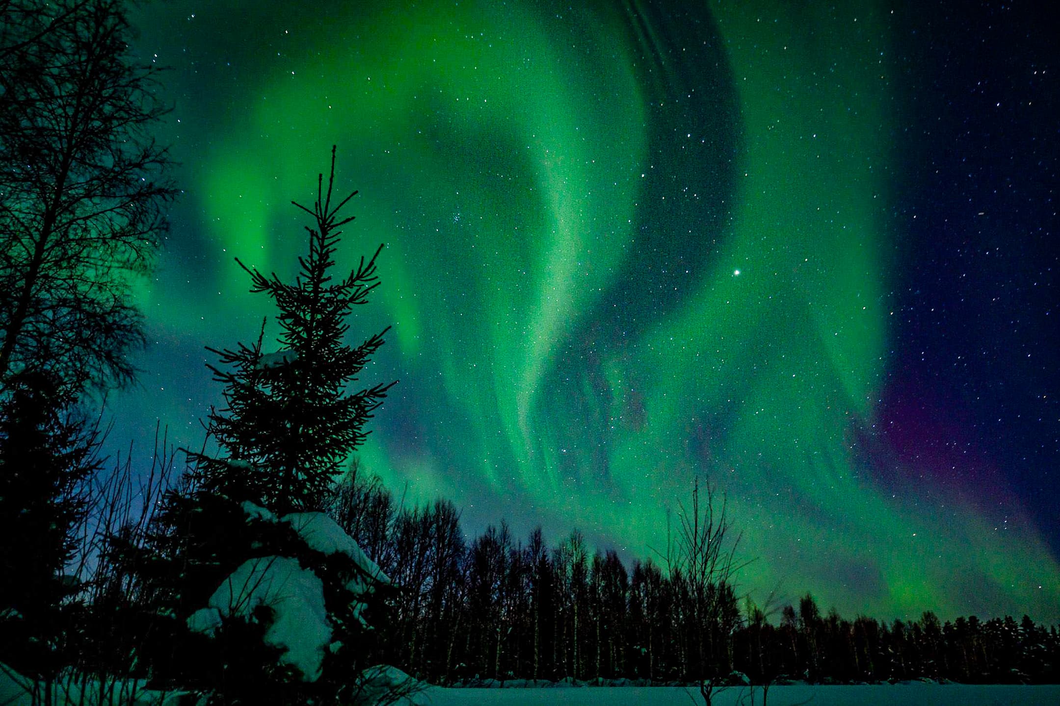 Northern Lights over Lapland, Finland