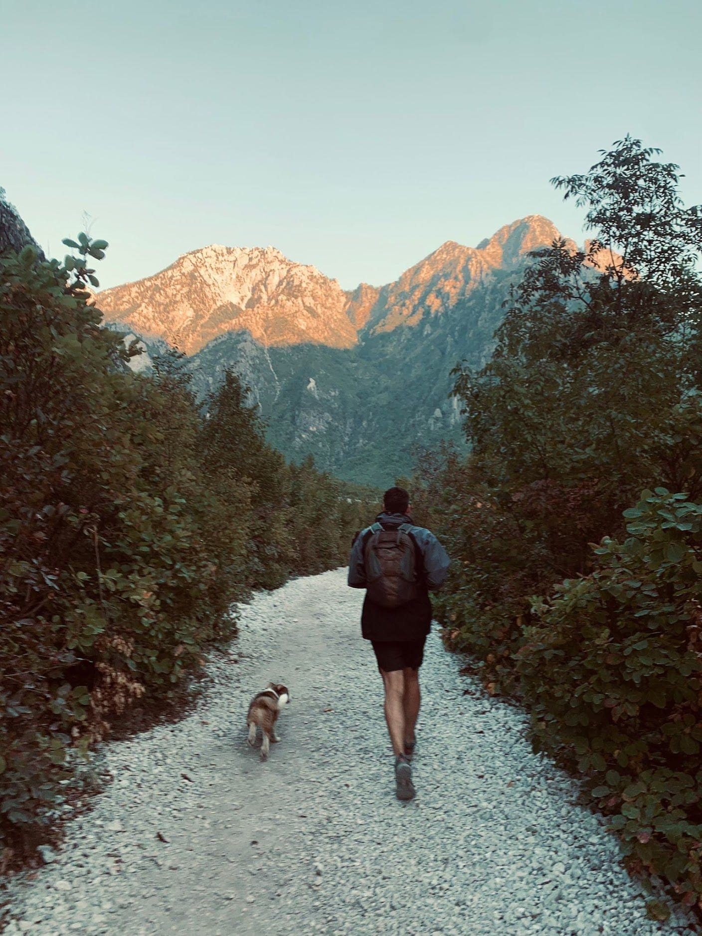 I made a new friend in the Albanian Alps.